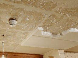 20260220_Lokalreno_04